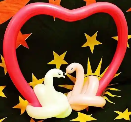 Two Swans in a Heart